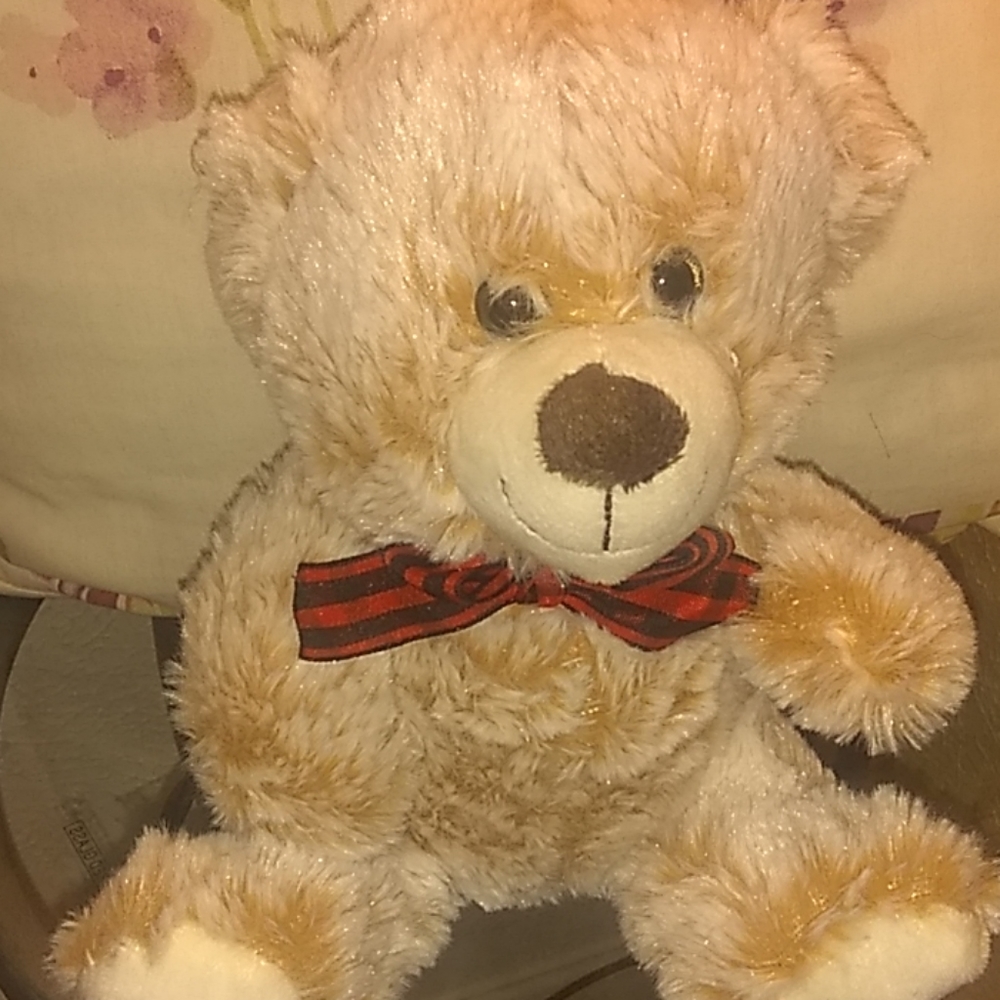 Bears - Picture 2 of 3